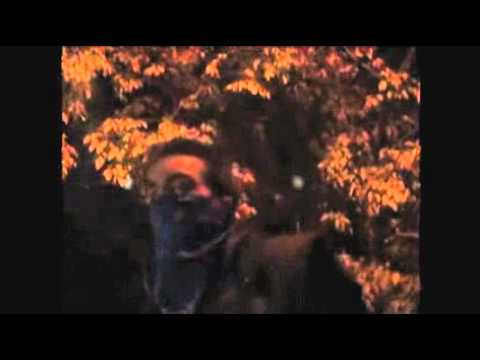 aza , steve wacuumairs