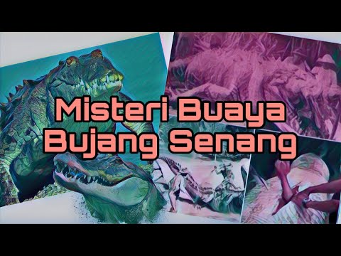 download lagu mp3 mp4 Buaya Bujang Senang, download mp3 Buaya Bujang Senang free download mp3, download mp3 Buaya Bujang Senang