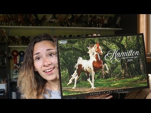 UNBOXING Breyer Premiere Club Hamilton REPLACEMENT!