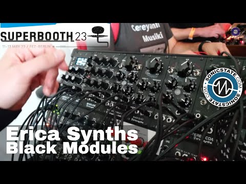 Erica Synths Black Stereo Delay 2 image 2