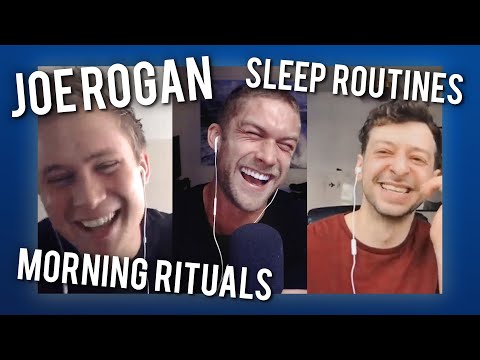 Catch Up 105 | Modern Wisdom Podcast 176