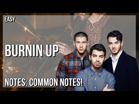 How to play Burnin Up by Jonas Brothers on Tin Whistle (Tutorial)
