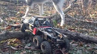 Redcat Gen8 6x6 With TRX4 Cabbed Recovery rig and my 4x4 Husky