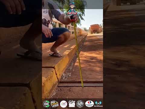 A ponte sobre o Rio Piquiri, entre Francisco Alves e Guaíra, foi interditada