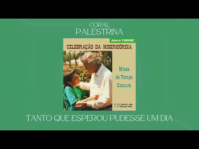 Preview do vídeo