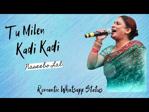 Tu Milen Kadi Kadi full song | Remix 2020 | TikTok viral song