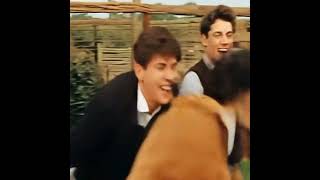 The Beach Boys / Pet Sounds（1966）#thebeachboys #petsounds #dreammachine