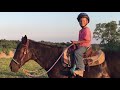 ADOPTED Bella Run Equine Couch