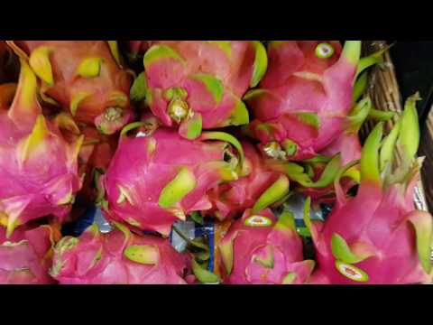 Dragon Fruit from Vietnam in Dubai فاكهة دراجون التنين الفيتنامية في جمعية الإتحاد في دُبي