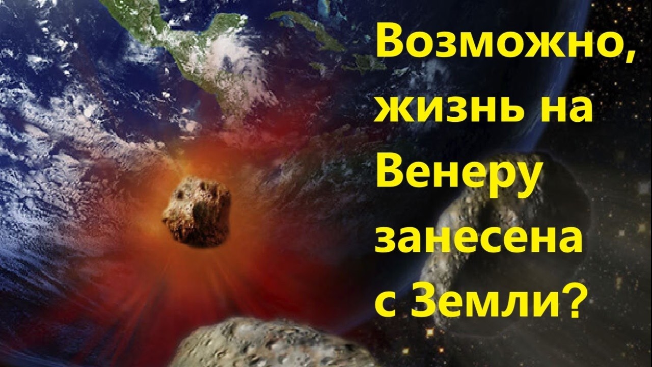 Возможно, жизнь на Венеру занесена с Земли?