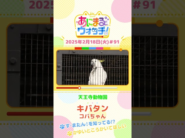 放送内容｜す・またん！｜読売テレビ