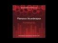 de mi disco de Electrónica con Flamenco, rumba y jazz