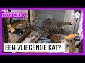 DRONE DIEREN | Extreme Animal Hobby's Beestieboys | NPO Zapp