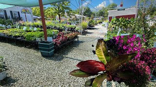 Going to the Garden Center and New Plants! Dealing With Mealy Bugs