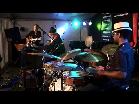 Dr. LONNIE SMITH Beehive