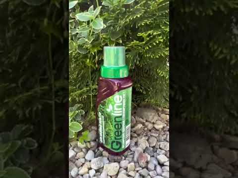 Миниатюра изображения товара Удобрение GREENLINE Для хвойных культур / 010-Х-285 (285мл)