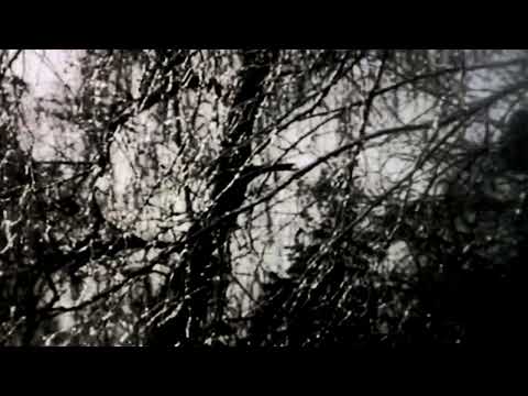 DJ Armok - Witness The Crucifix (Visual)