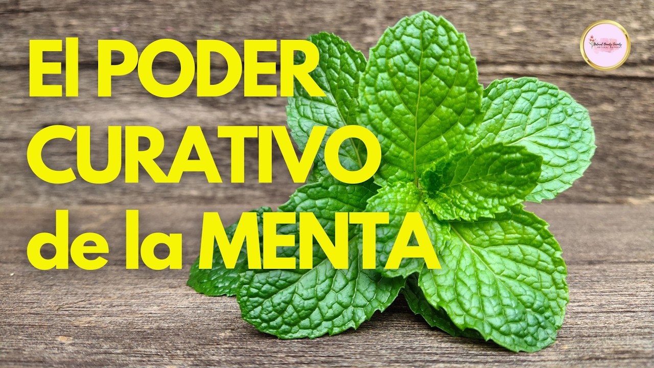DOCUMENTAL El Poder CURATIVO de la MENTA sus SECRETOS y Sabiduría Ancestral