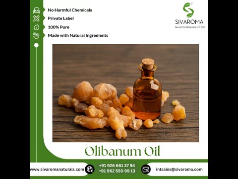 Olibanum Essential Oil