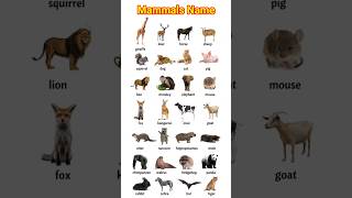 Download lagu Mammals name |mammalsname |mammals |#shorts #mammals #educational#mamalsenglish @Easywayoflearn mp3