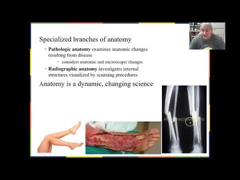 Anatomy and Physiology I_OpenStax_Chapter 1_Part 1