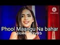 Phool Maangu Na Bahar || slowed reverb || kumar sanu || Alka Yagnik