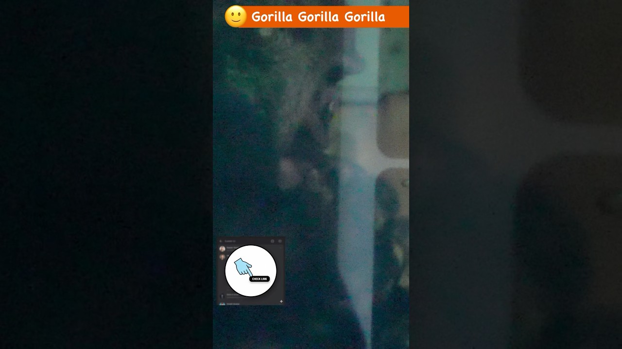 ゴリラの赤ちゃんの成長 #ゴリラ #gorilla #京都市動物園 #genki