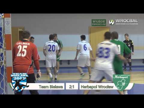 15.02.2014 Team Bielawa  - Herbapol Wrocław