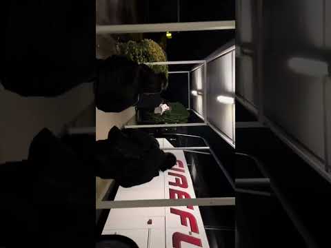 Melbourne to Sydney by bus#firefly #viral #viralvideos #sydney #trending #trevaling #australia