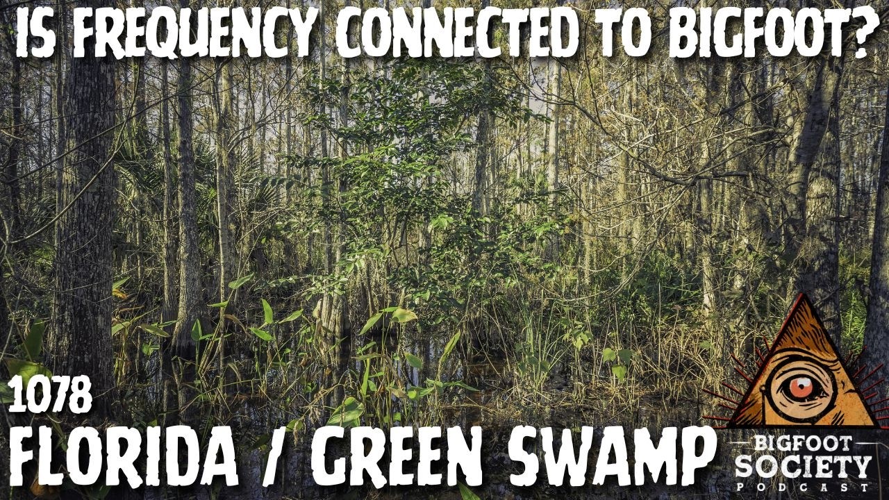 A Florida Researcher Shares Years Of Encounters In The Green Swamp With Sasquatch