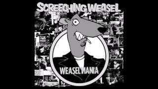 screeching weasel -you&#39;re the enemy
