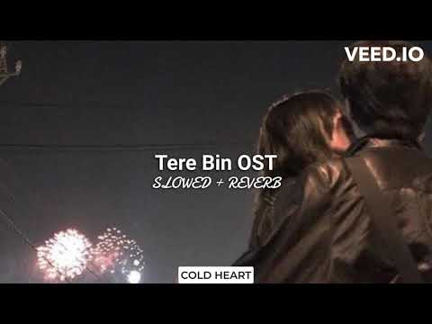 Tere Bin OST (SLOWED + REVERB) | Shani Arshad | COLD HEART