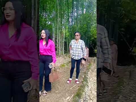 Visitando el bambusario  en el Chaco-Napo #shorts #viral #song