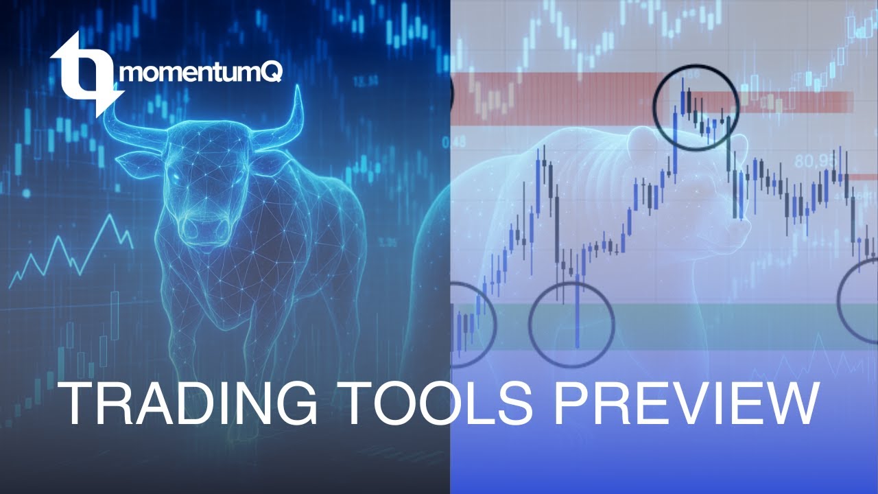 MomentumQ Product Walkthrough