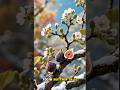 Fig Tree Symbolism in the Bible | Warning & Promise 🌿