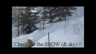 Magic in Winter Wonderland !