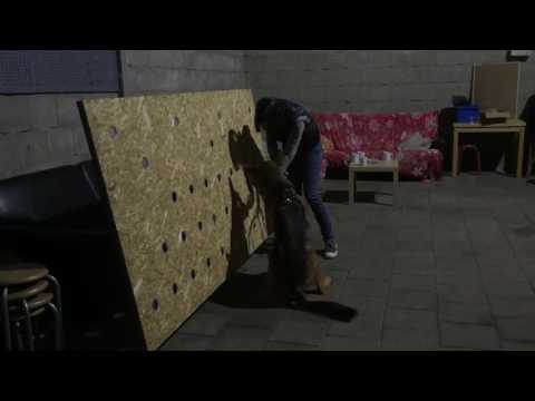 Bojan geurbron zoeken