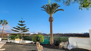 🏖️ Hotel Aequora Suites – Traumurlaub auf Lanzarote 🌴✨