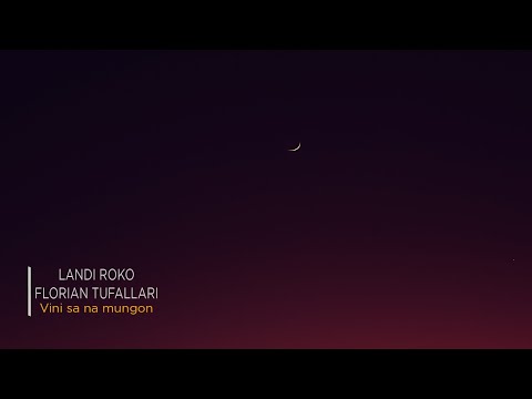 Landi Roko x Florian Tufallari - Vini na mungon