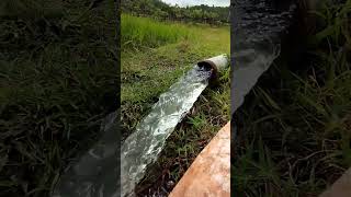 Download lagu Iklan Aqua. Sumber air su dekat. Ada Aqua ?. bantu promosi Aqua😅. #aqua #airmineral #airmineral mp3 Download lagu Iklan Aqua. Sumber air su dekat. Ada Aqua ?. bantu promosi Aqua😅. #aqua #airmineral #airmineral mp3