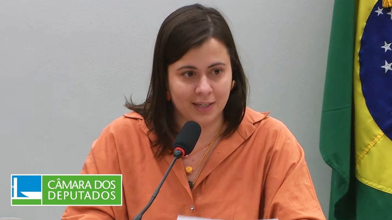 Convenção de Haia: Futuros avanços legislativos possíveis  - 13/11/2024