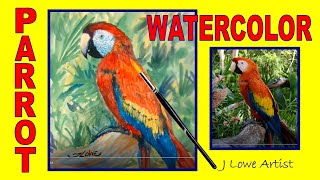 HOW TO PAINT A PARROT STEP BY STEP WITH WATERCOLORS