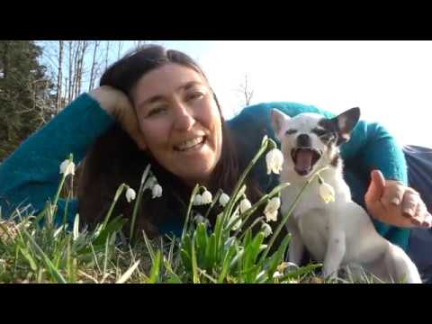 Zauber des Frühlings