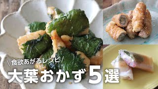 【大葉レシピ5選】夏バテ防止に最適!人気のオススメ大葉おかず弁当bento