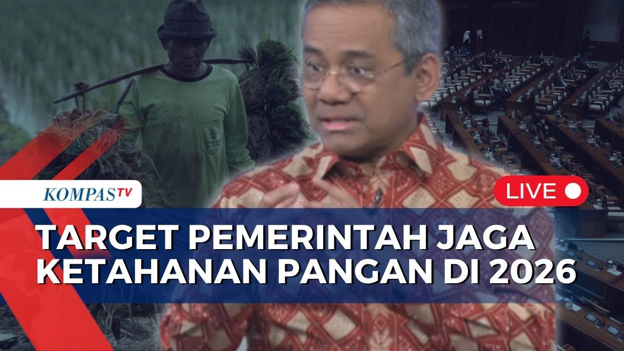 Penjelasan Wamenkeu Soal Target-Realisasi RAPBN 2026, Ungkap Pesan Prabowo di Ketahanan Pangan