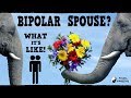 BIPOLAR SPOUSE OR PARTNER A Perspective On Understanding Bipolar From Both Sides