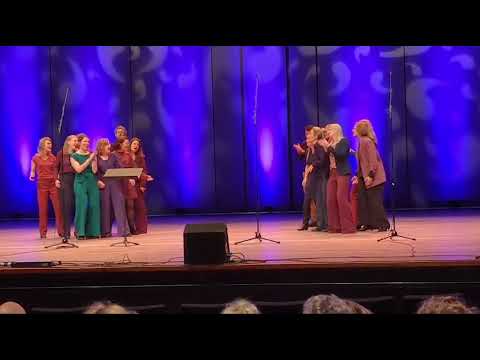 Compilatie Vocalink Festival Noord 2025 - BlueBird Voices