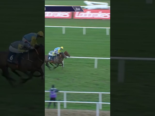 Thumbnail for Post ID: Zin4X8UnXKM