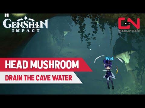 How to Look for the Head Mushroom & Drain Cave Water in Genshin Impact