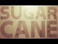 Sugarcane - Shaggy (Official Lyric Video)